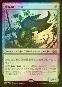 画像1: [FOIL] 常緑のビヒモス/Perennial Behemoth 【日本語版】 [BRO-灰R]