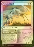 [FOIL] ペガサスの守護者/Pegasus Guardian 【日本語版】 [CLB-白C]