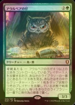画像1: [FOIL] アウルベアの仔 /Owlbear Cub 【日本語版】 [CLB-緑R]