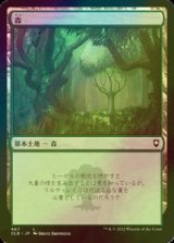 [FOIL] 森/Forest No.467 【日本語版】 [CLB-土地C]