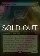 [FOIL] アウルベアの仔 /Owlbear Cub (拡張アート版) 【英語版】 [CLB-緑R]