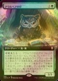 [FOIL] アウルベアの仔 /Owlbear Cub (拡張アート版) 【日本語版】 [CLB-緑R]