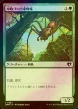 [FOIL] 命取りの出家蜘蛛/Deadly Recluse 【日本語版】 [CMM-緑C]