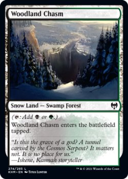 画像1: 森林の地割れ/Woodland Chasm 【英語版】 [KHM-土地C]
