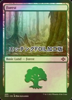 画像1: [FOIL] 森/Forest No.489 (エッチング仕様) 【英語版】 [MH2-土地C]