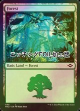 [FOIL] 森/Forest No.490 (エッチング仕様) 【英語版】 [MH2-土地C]