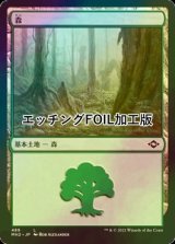 [FOIL] 森/Forest No.489 (エッチング仕様) 【日本語版】 [MH2-土地C]