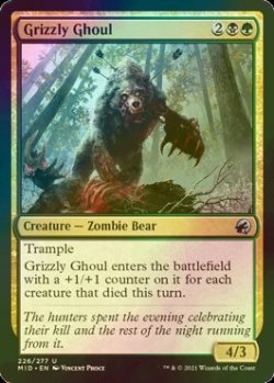 画像1: [FOIL] 灰色熊のグール/Grizzly Ghoul 【英語版】 [MID-金U]