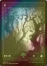 [FOIL] 森/Forest No.276 (海外産ブースター版) 【日本語版】 [MID-土地C]