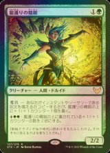 [FOIL] 龍護りの精鋭/Dragonsguard Elite 【日本語版】 [STX-緑R]