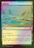 [FOIL] 石灰の池/Calciform Pools 【日本語版】 [TSR-土地U]