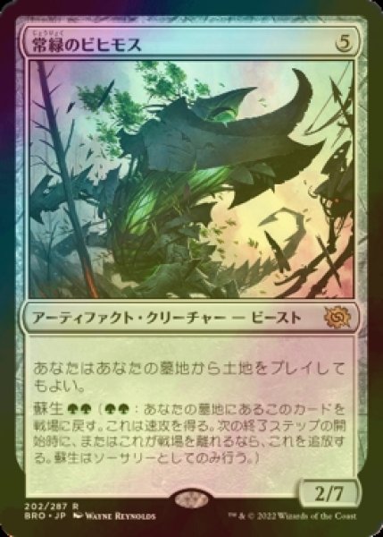 画像1: [FOIL] 常緑のビヒモス/Perennial Behemoth 【日本語版】 [BRO-灰R] (1)