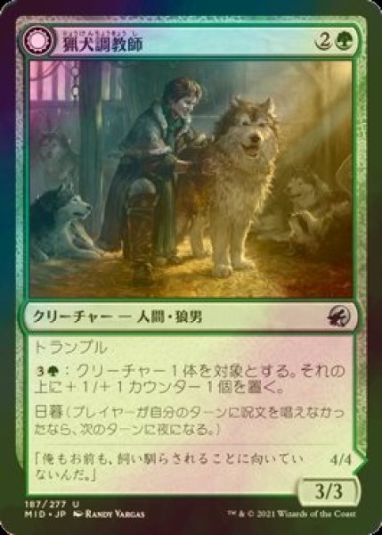 画像1: [FOIL] 猟犬調教師/Hound Tamer 【日本語版】 [MID-緑U] (1)