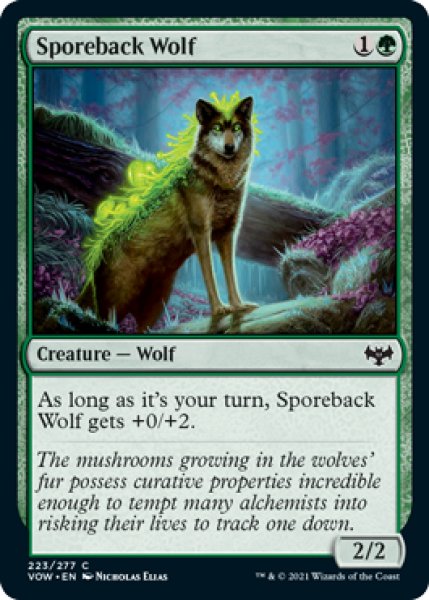 画像1: 胞子背の狼/Sporeback Wolf 【英語版】 [VOW-緑C] (1)